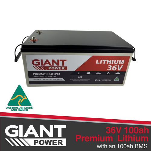 GIANT 36V 100AH Lithium Golf Cart Deep Cycle Battery with (100AMP BMS)